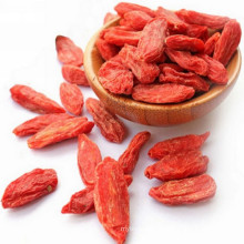 Baya de Goji de frutos secos orgánicos de Mongolia Interior